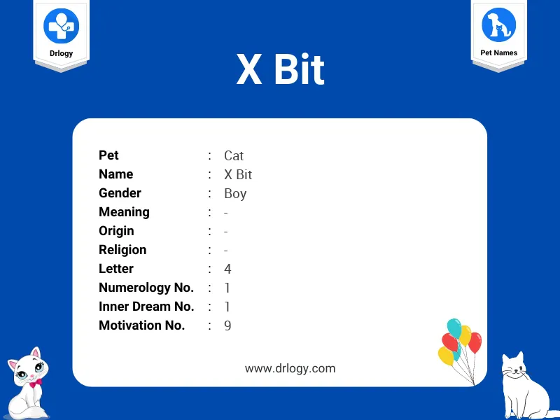 X Bit Name Meaning